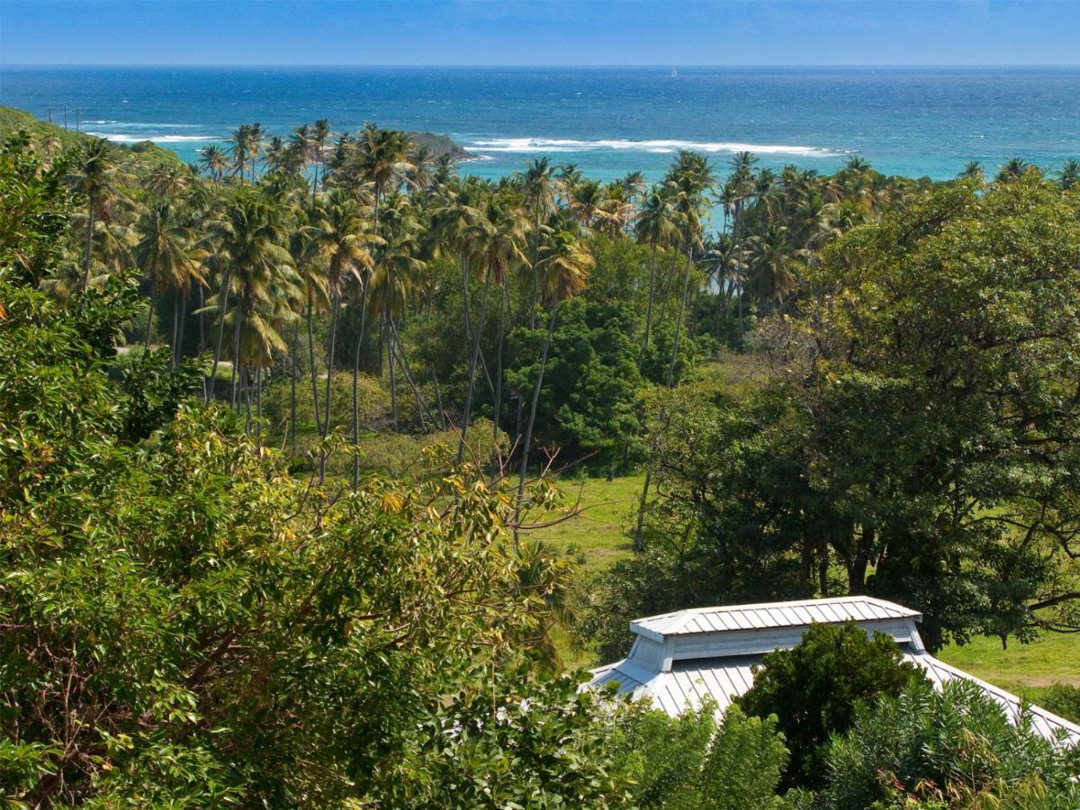 Hotel Firefly Estate Bequia à Crescent Beach Extérieur photo