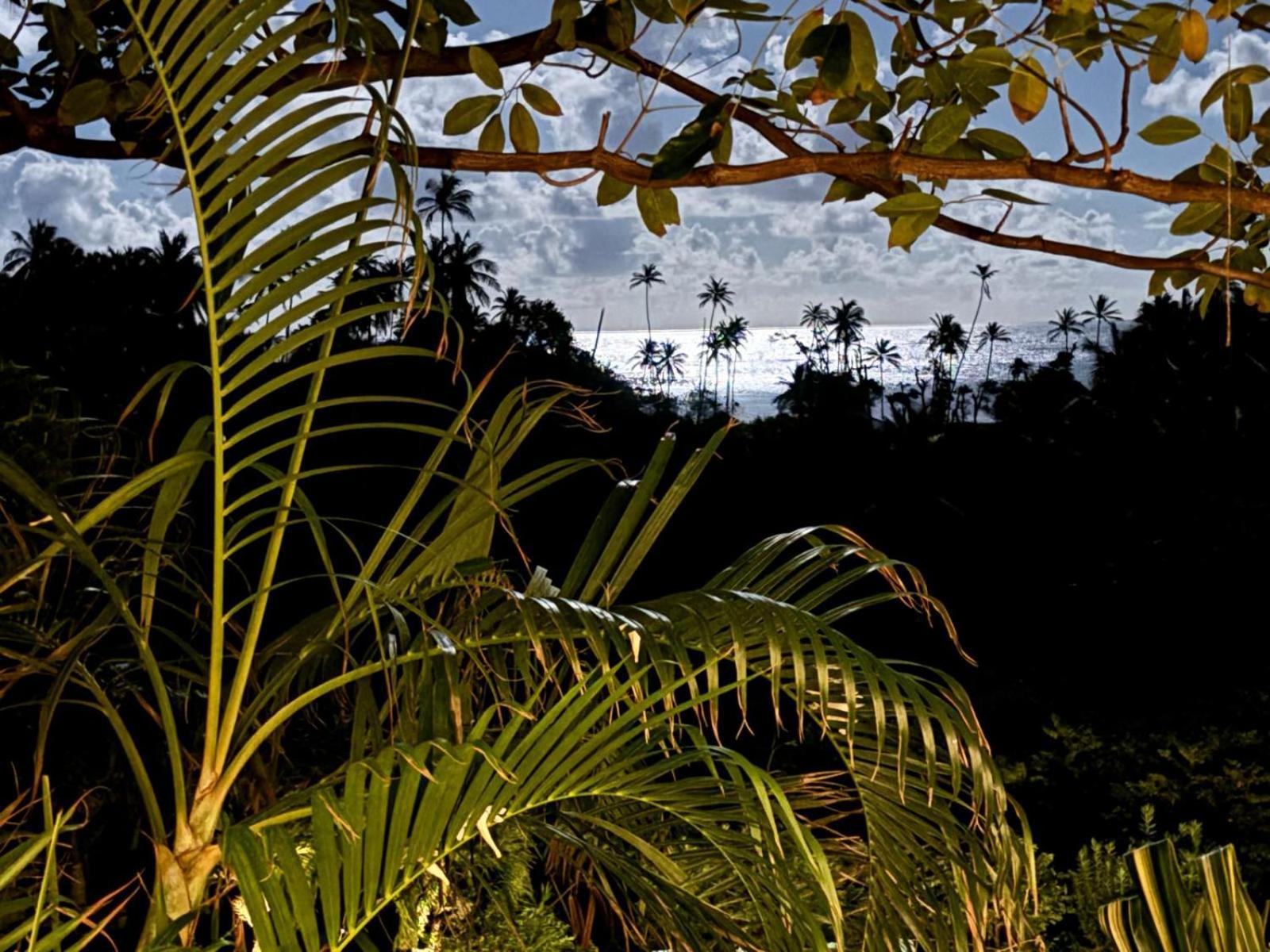 Hotel Firefly Estate Bequia à Crescent Beach Extérieur photo