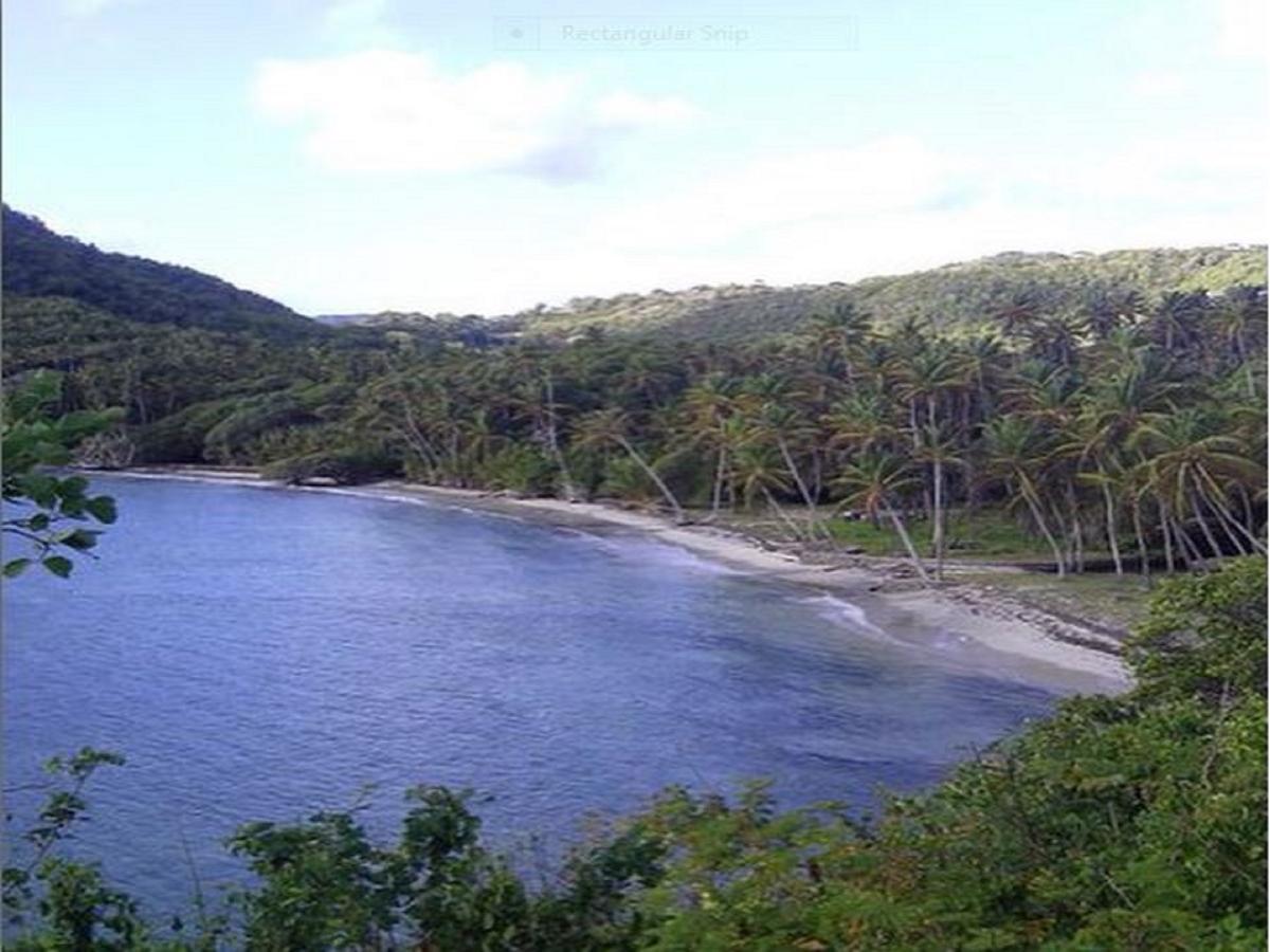 Hotel Firefly Estate Bequia à Crescent Beach Extérieur photo
