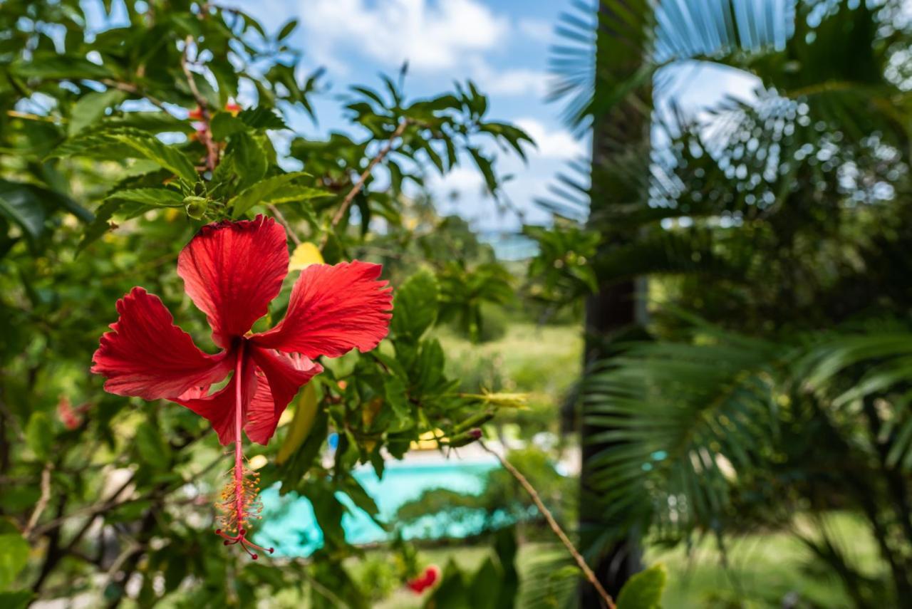 Hotel Firefly Estate Bequia à Crescent Beach Extérieur photo