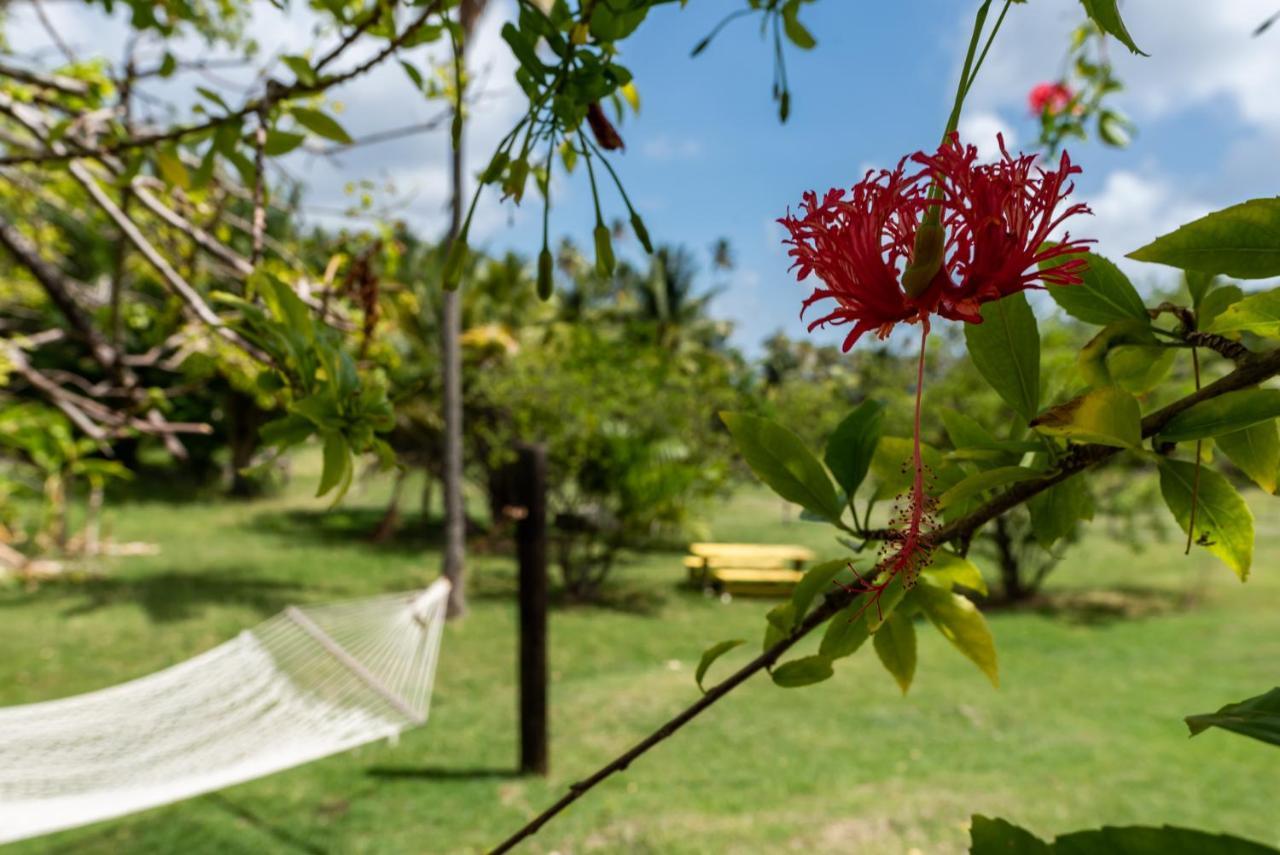 Hotel Firefly Estate Bequia à Crescent Beach Extérieur photo
